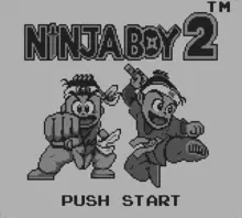 Image n° 1 - screenshots  : Ninja Boy 2